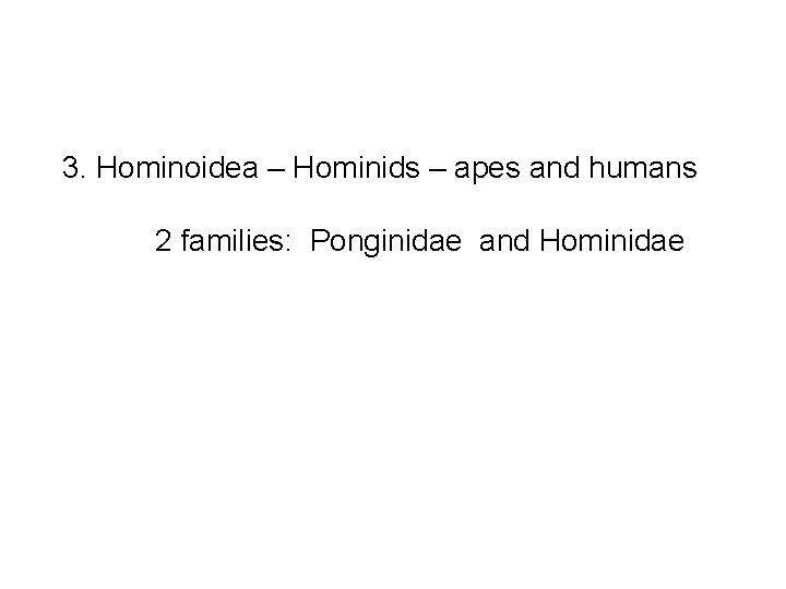  3. Hominoidea – Hominids – apes and humans 2 families: Ponginidae and Hominidae