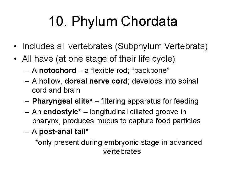 10. Phylum Chordata • Includes all vertebrates (Subphylum Vertebrata) • All have (at one