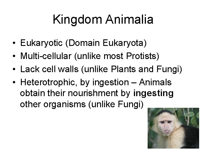 Kingdom Animalia • • Eukaryotic (Domain Eukaryota) Multi-cellular (unlike most Protists) Lack cell walls