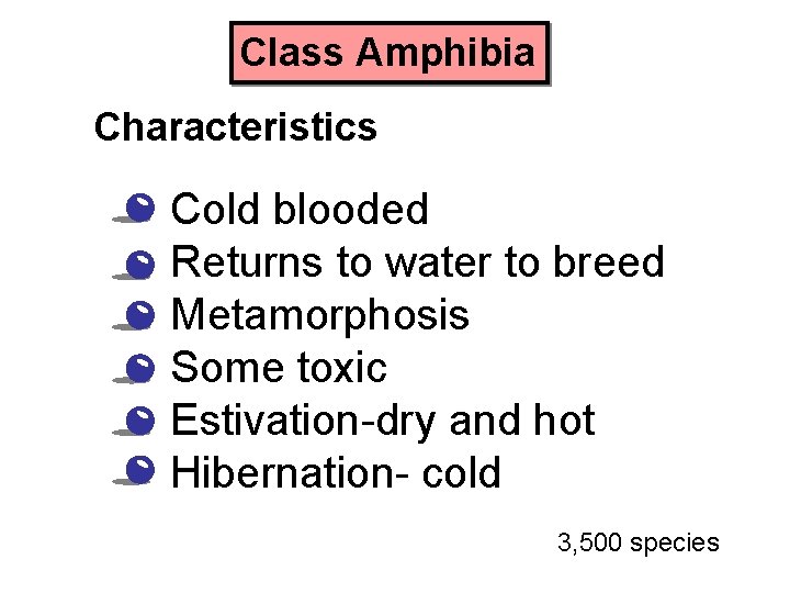 Class Amphibia Characteristics • • • Cold blooded Returns to water to breed Metamorphosis