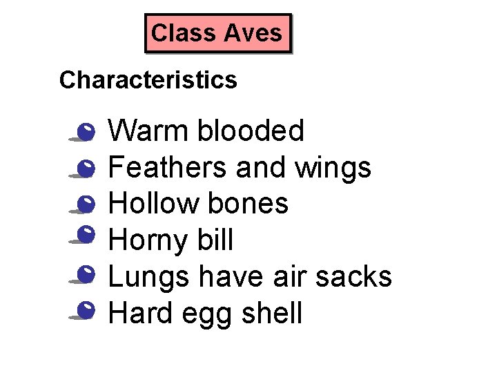 Class Aves Characteristics • • • Warm blooded Feathers and wings Hollow bones Horny