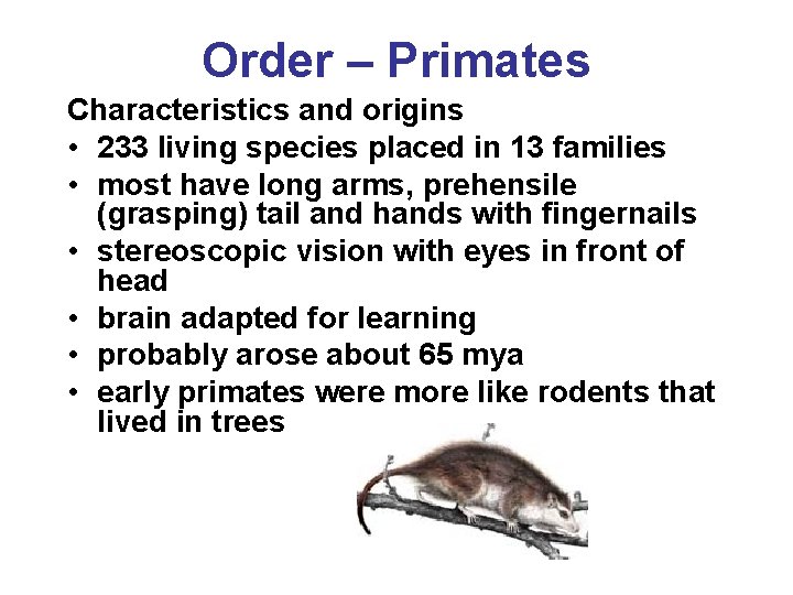 Order – Primates Characteristics and origins • 233 living species placed in 13 families