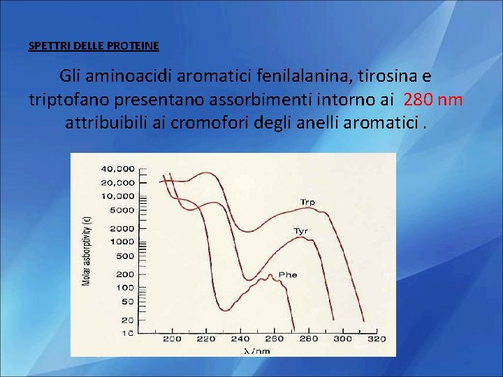 SPETTRI DELLE PROTEINE Gli aminoacidi aromatici fenilalanina, tirosina e triptofano presentano assorbimenti intorno ai