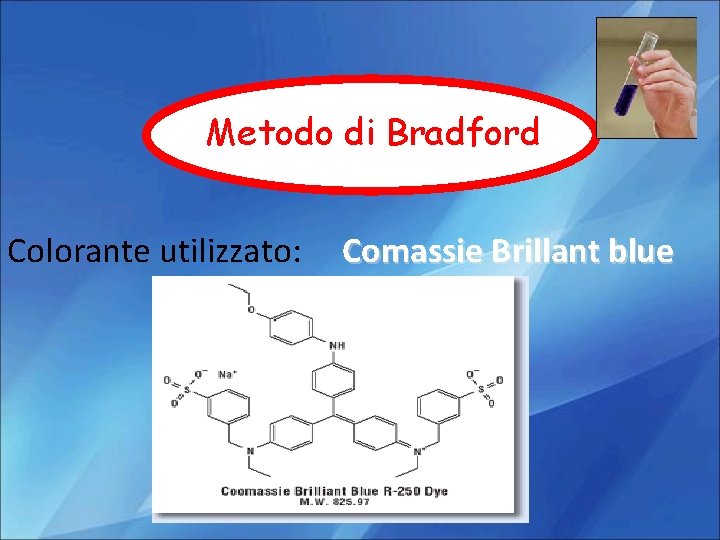 Metodo di Bradford Colorante utilizzato: Comassie Brillant blue 