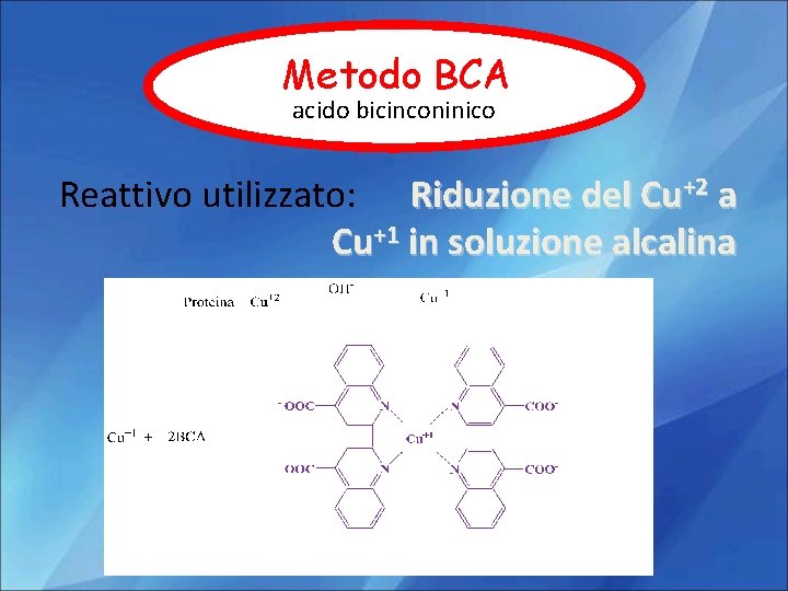 Metodo BCA acido bicinconinico Reattivo utilizzato: Riduzione del Cu+2 a Cu+1 in soluzione alcalina