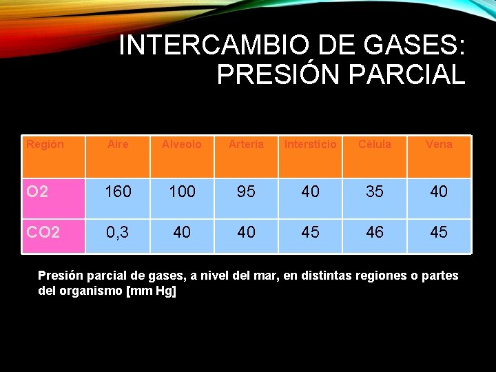 INTERCAMBIO DE GASES: PRESIÓN PARCIAL Región Aire Alveolo Arteria Intersticio Célula Vena O 2