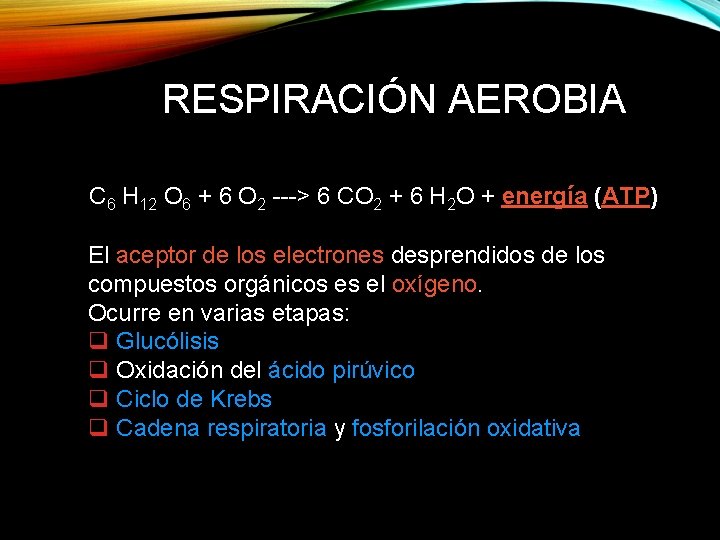 RESPIRACIÓN AEROBIA C 6 H 12 O 6 + 6 O 2 ---> 6