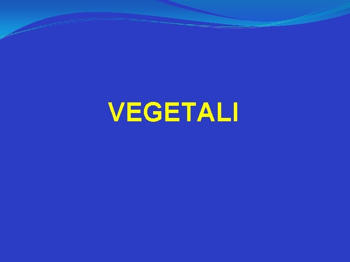 VEGETALI 