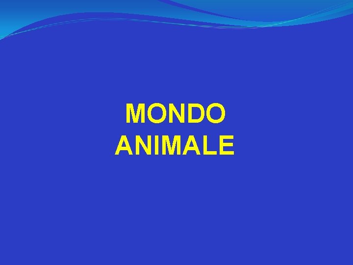 MONDO ANIMALE 