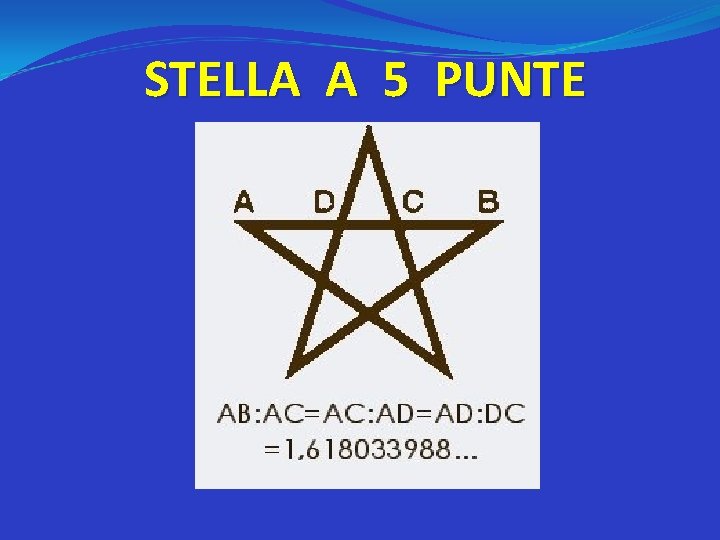 STELLA A 5 PUNTE 