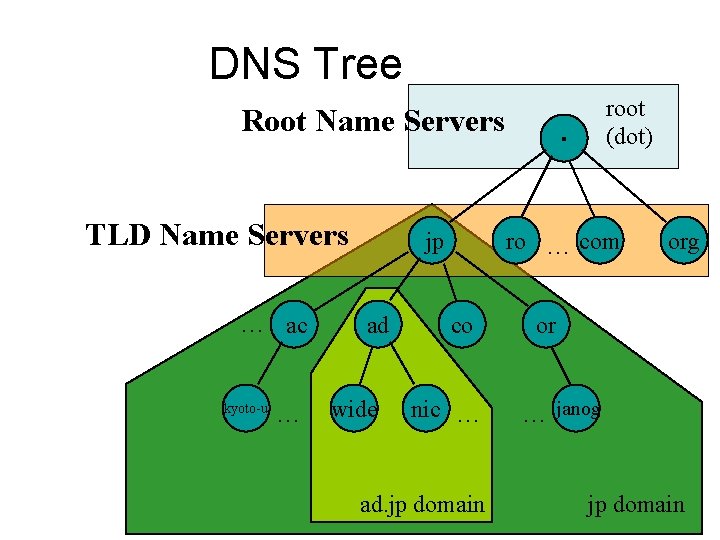 DNS Tree Root Name Servers TLD Name Servers … ac kyoto-u … jp ad