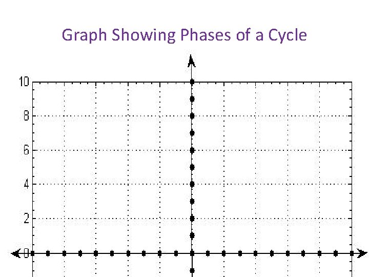 Graph Showing Phases of a Cycle 