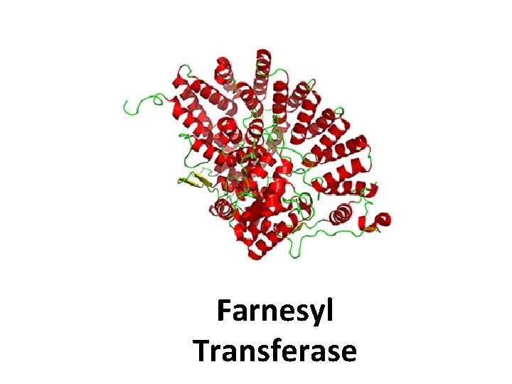 Farnesyl Transferase 