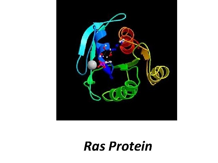 Ras Protein 