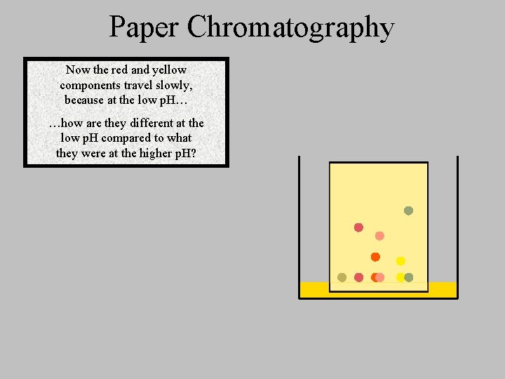 Paper Chromatography Now the red and yellow components travel slowly, because at the low