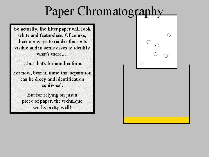 Paper Chromatography So actually, the filter paper will look white and featureless. Of course,