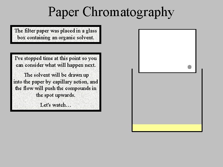 Paper Chromatography The filter paper was placed in a glass box containing an organic