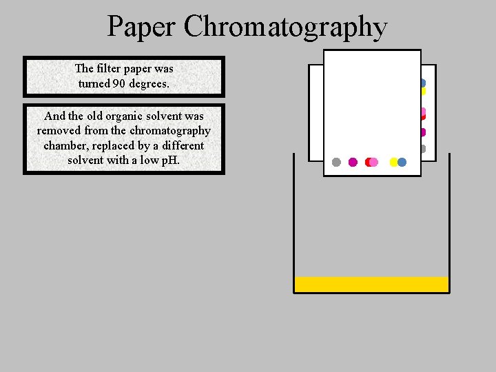 Paper Chromatography The filter paper was turned 90 degrees. And the old organic solvent