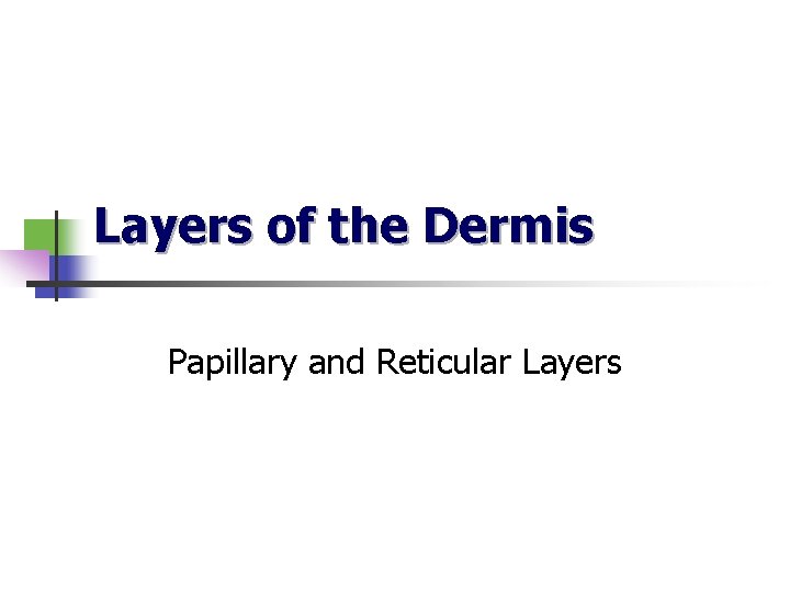 Layers of the Dermis Papillary and Reticular Layers 