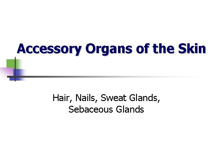 Accessory Organs of the Skin Hair, Nails, Sweat Glands, Sebaceous Glands 