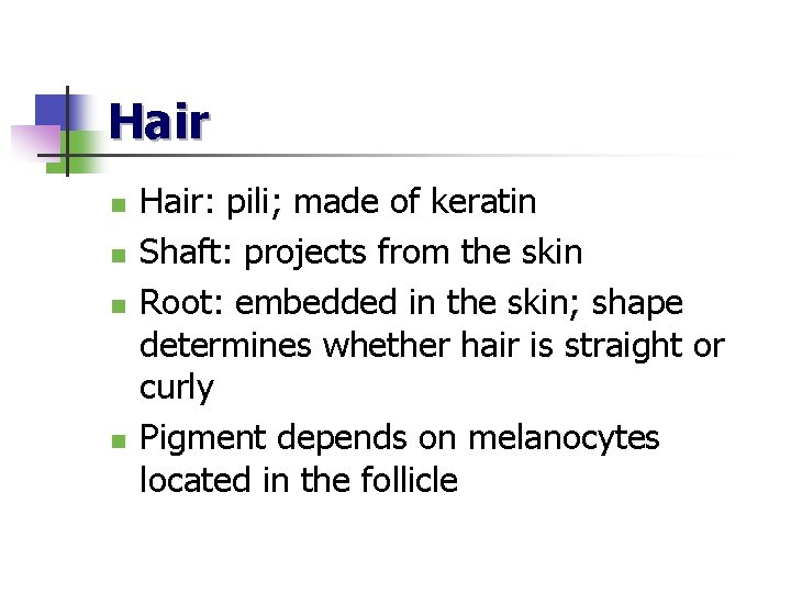 Hair n n Hair: pili; made of keratin Shaft: projects from the skin Root: