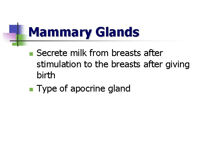 Mammary Glands n n Secrete milk from breasts after stimulation to the breasts after