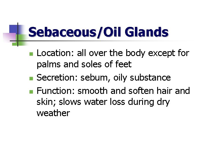 Sebaceous/Oil Glands n n n Location: all over the body except for palms and
