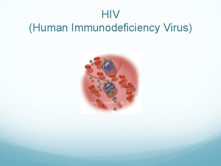 HIV (Human Immunodeficiency Virus) HIV (Human Immunodeficiency Virus)