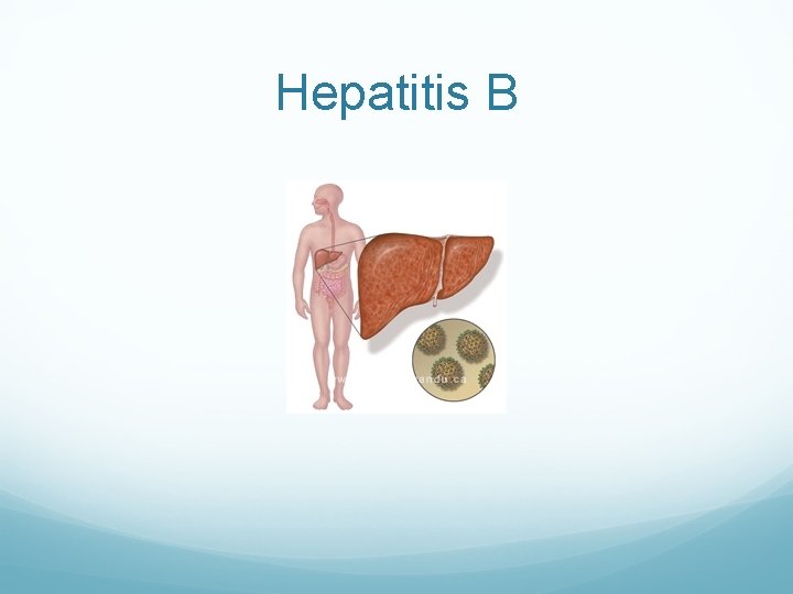 Hepatitis B Hepatitis B