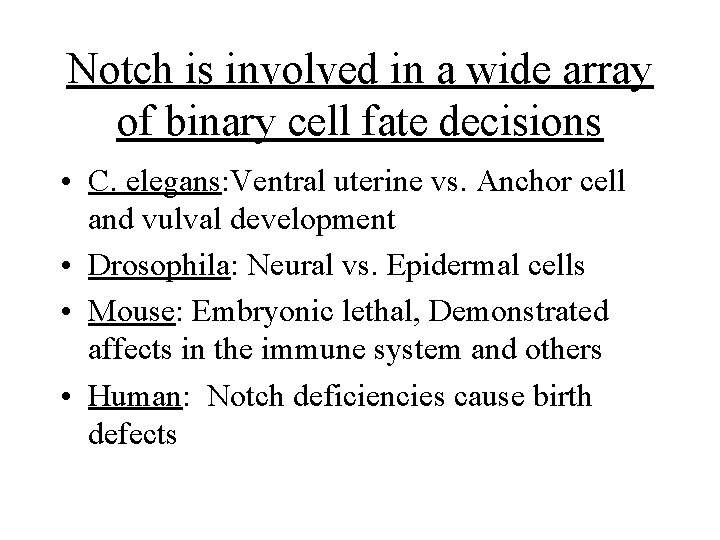 Notch is involved in a wide array of binary cell fate decisions • C.