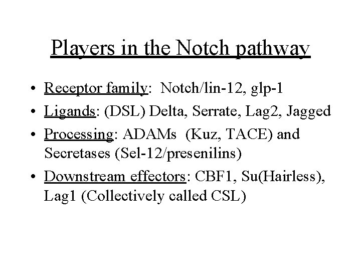 Players in the Notch pathway • Receptor family: Notch/lin-12, glp-1 • Ligands: (DSL) Delta,