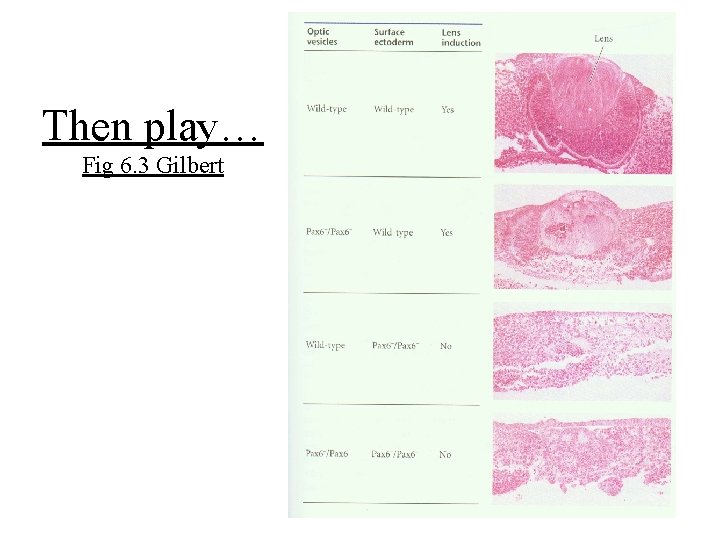 Then play… Fig 6. 3 Gilbert 