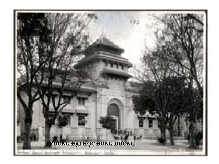 TRƯỜNG ĐẠI HỌC ĐÔNG DƯƠNG 