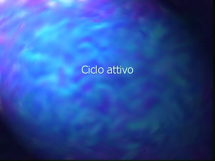 Ciclo attivo 