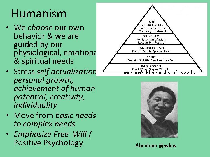 Humanism • We choose our own behavior & we are guided by our physiological, Humanism • We choose our own behavior & we are guided by our physiological,