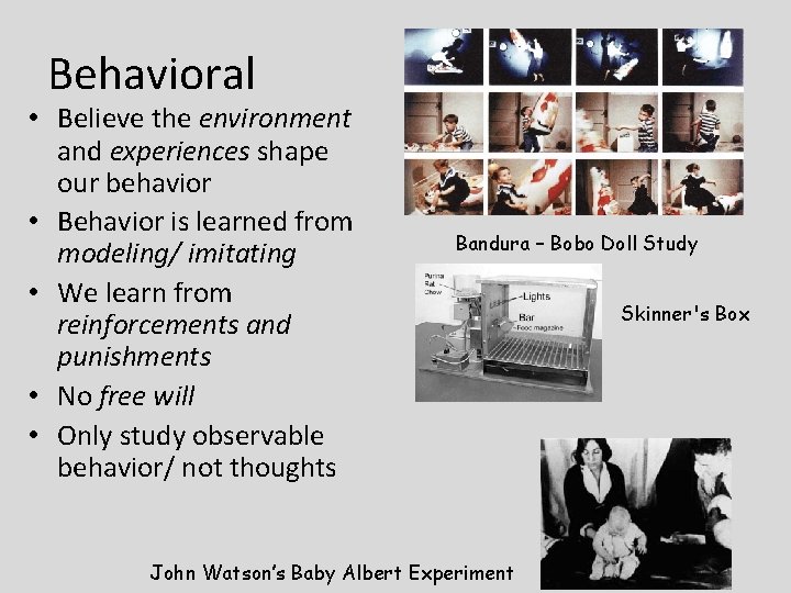 Behavioral • Believe the environment and experiences shape our behavior • Behavior is learned Behavioral • Believe the environment and experiences shape our behavior • Behavior is learned
