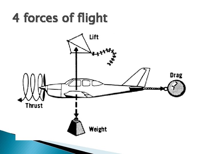 4 forces of flight 4 forces of flight