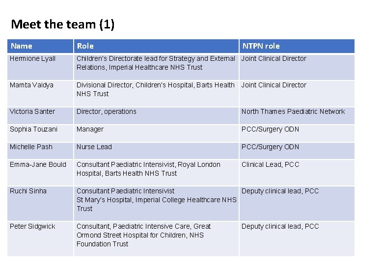 Meet the team (1) Name Role Hermione Lyall Children’s Directorate lead for Strategy and