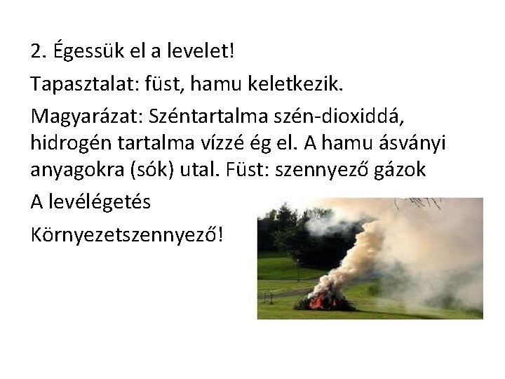 2. Égessük el a levelet! Tapasztalat: füst, hamu keletkezik. Magyarázat: Széntartalma szén-dioxiddá, hidrogén tartalma 2. Égessük el a levelet! Tapasztalat: füst, hamu keletkezik. Magyarázat: Széntartalma szén-dioxiddá, hidrogén tartalma