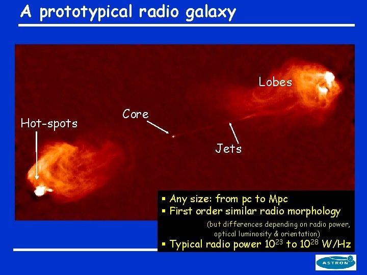 A prototypical radio galaxy Lobes Hot-spots Core Jets § Any size: from pc to