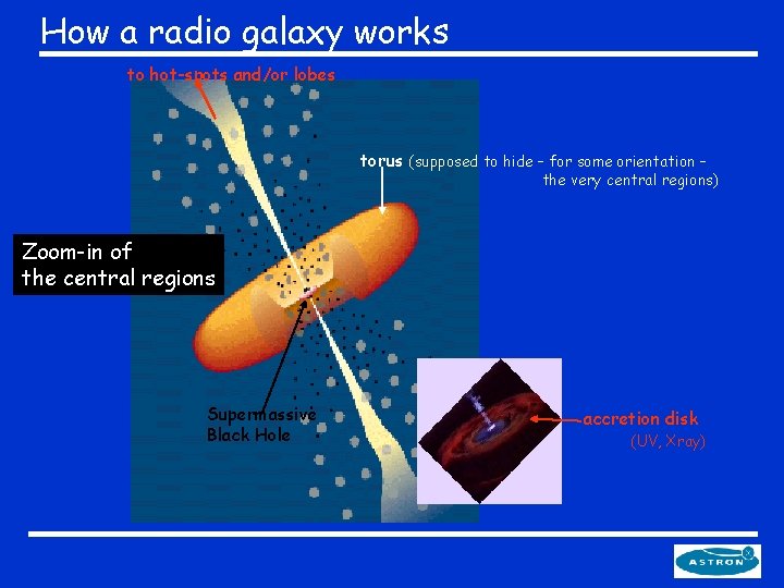 How a radio galaxy works to hot-spots and/or lobes torus (supposed to hide –