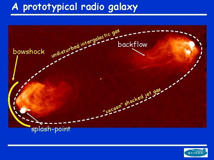 A prototypical radio galaxy bowshock is und d rbe tu in ala g r