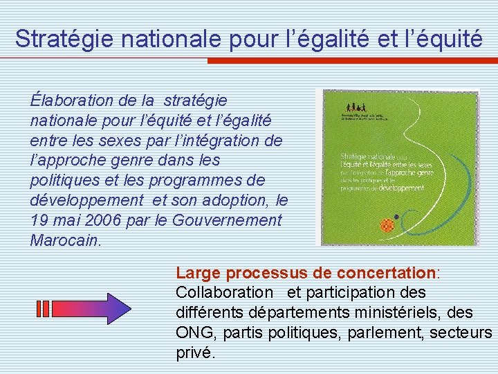 Stratégie nationale pour l’égalité et l’équité Élaboration de la stratégie nationale pour l’équité et