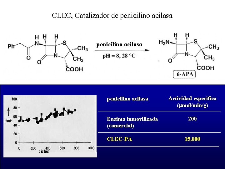 CLEC, Catalizador de penicilino acilasa Enzima inmovilizada (comercial) CLEC-PA ciclos Actividad específica (mmol/min/g) 200