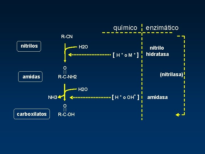químico enzimático [ H+o. M+] nitrilo hidratasa R-CN nitrilos H 2 O O amidas
