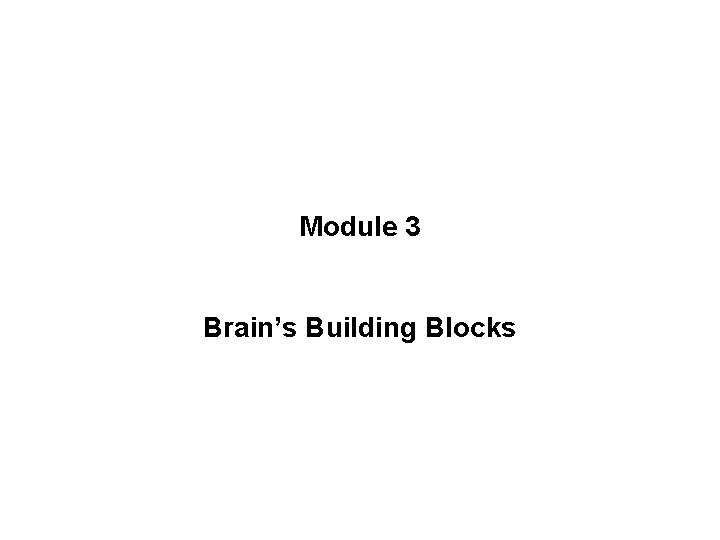 Module 3 Brain’s Building Blocks 