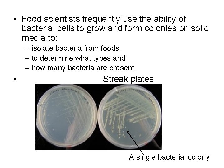  • Food scientists frequently use the ability of bacterial cells to grow and