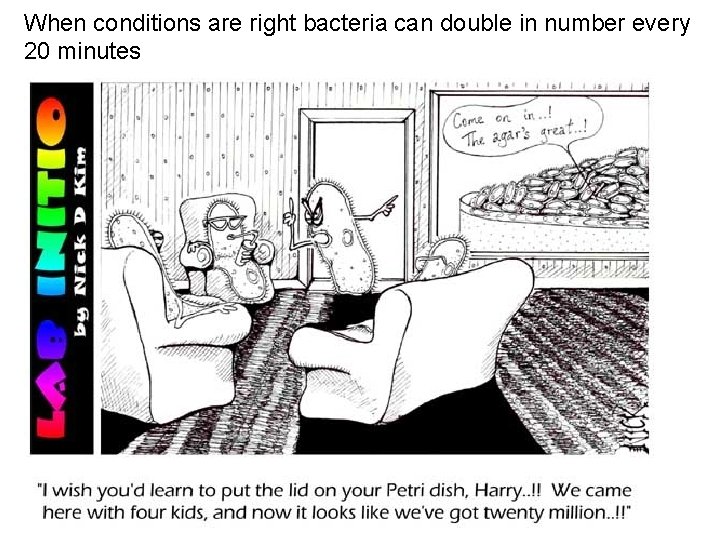 When conditions are right bacteria can double in number every 20 minutes 