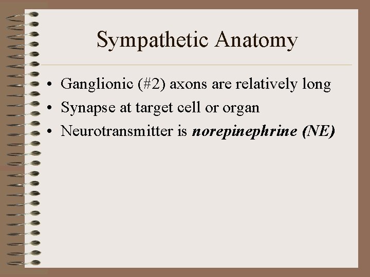 Sympathetic Anatomy • Ganglionic (#2) axons are relatively long • Synapse at target cell