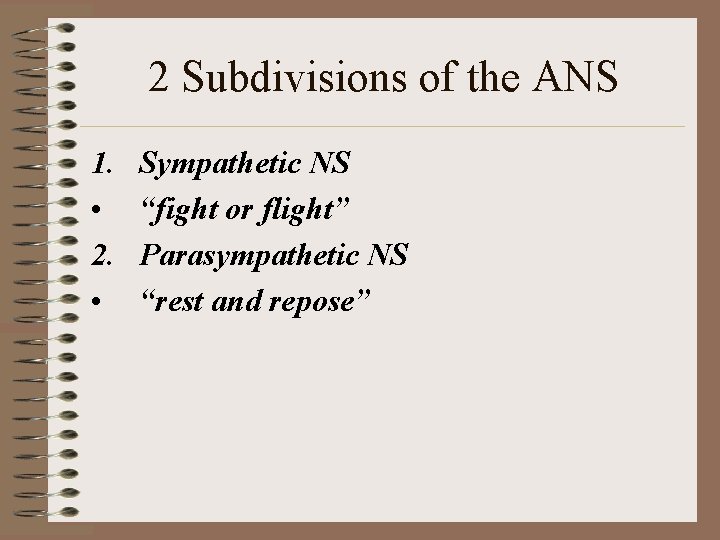 2 Subdivisions of the ANS 1. • 2. • Sympathetic NS “fight or flight”